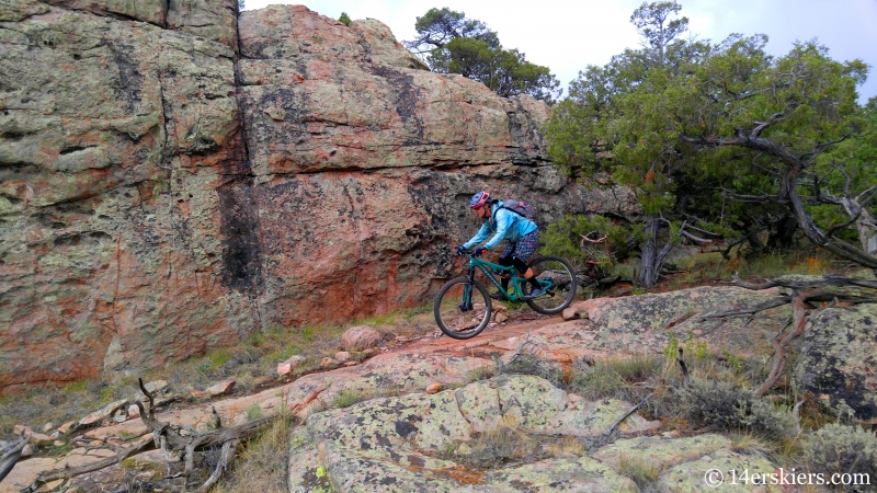 July mountain biking at Hartman Rocks.