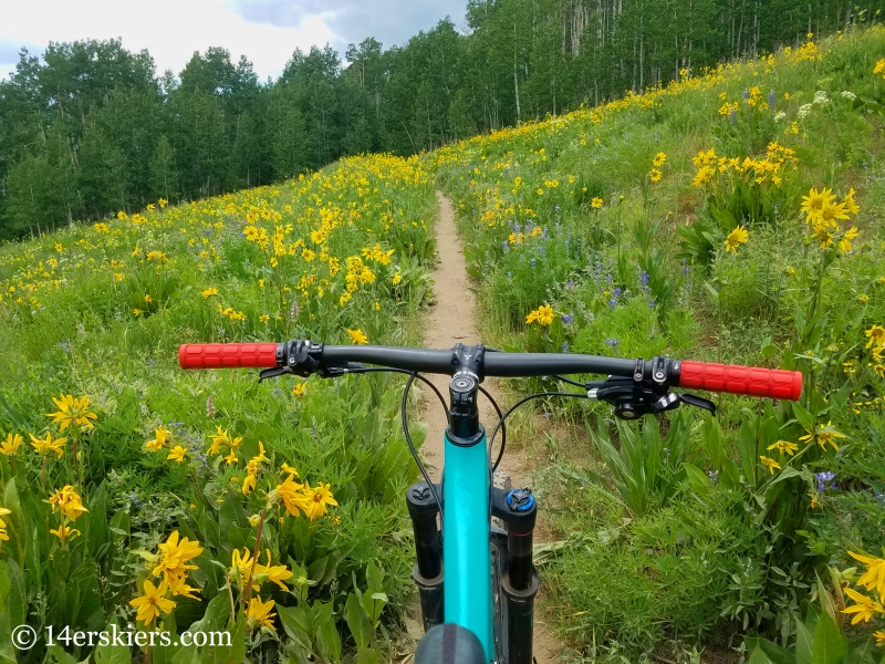 July mountain biking in Crested Butte