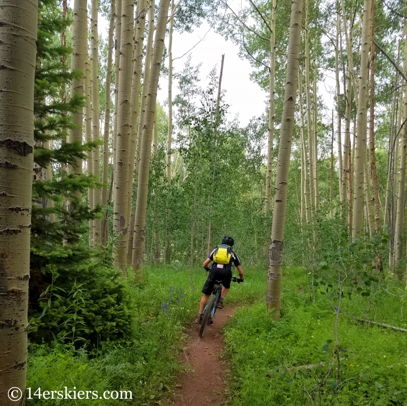 July mountain biking in Crested Butte