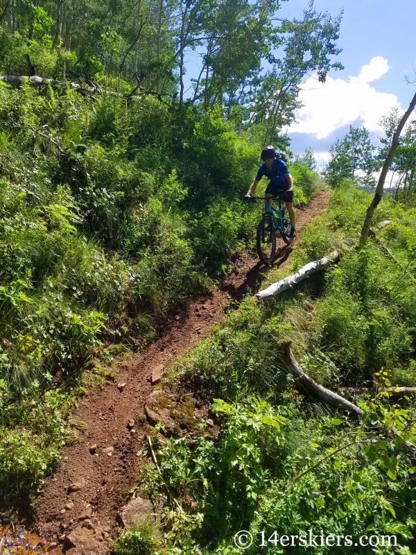 July mountain biking in Crested Butte