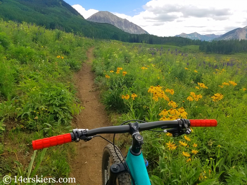 July mountain biking in Crested Butte