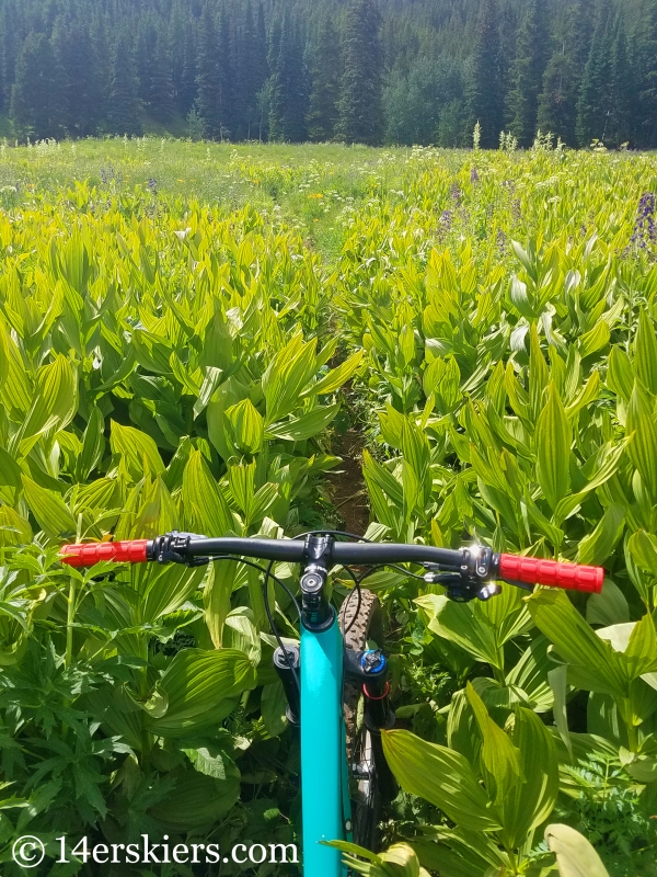 July mountain biking in Crested Butte