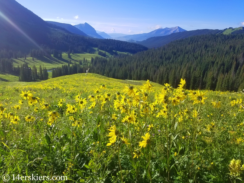 July mountain biking in Crested Butte