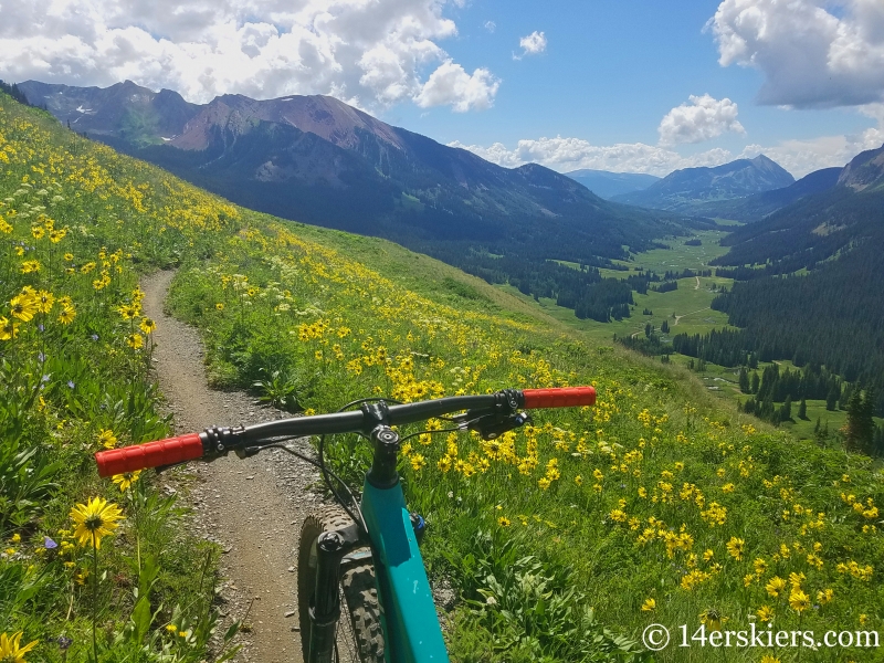 Mountain biking 401 in Crested Butte in July.  