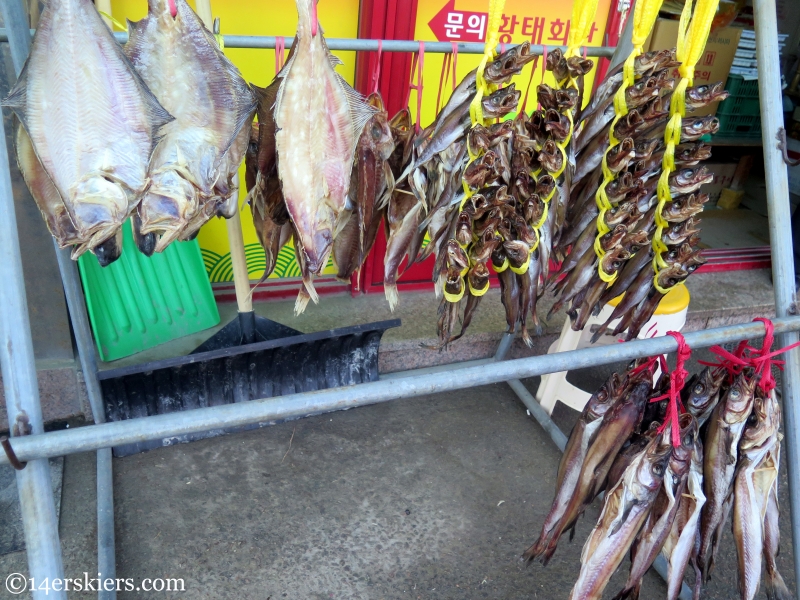 Korean dried fish