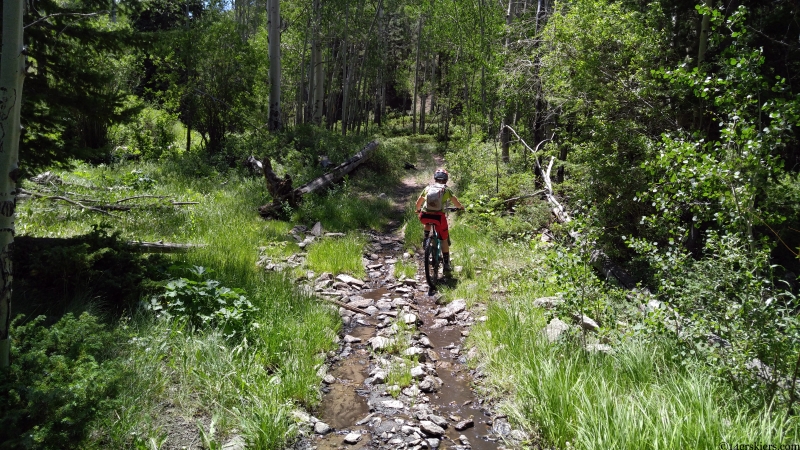 left hand creek gunnison colorado