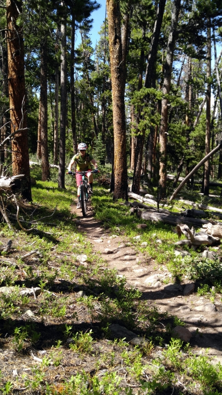 mountain biking near needle creek reservoir