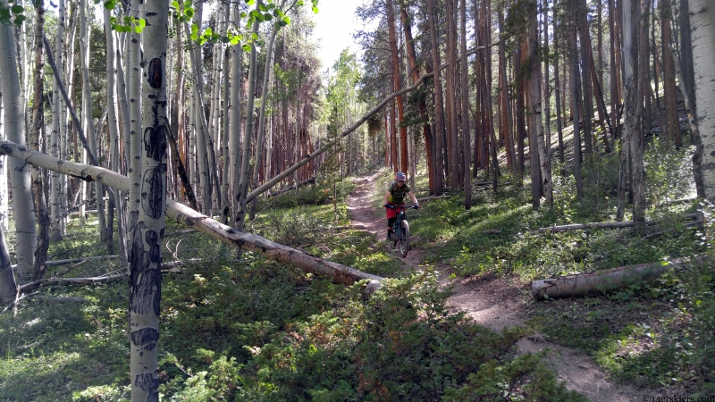 dutchman trail gunnison colorado