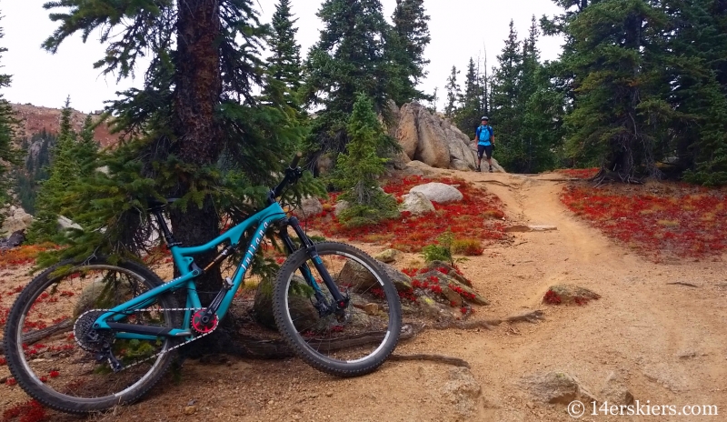 Mountain biking Lenawee Trail