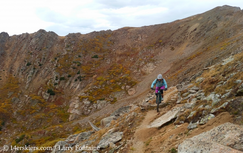 Brittany Walker Konsella enjoys riding a fun section of the Lenawee Trail.