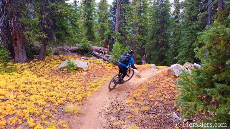 Larry Fontaine mountain biking Lenawee Trail