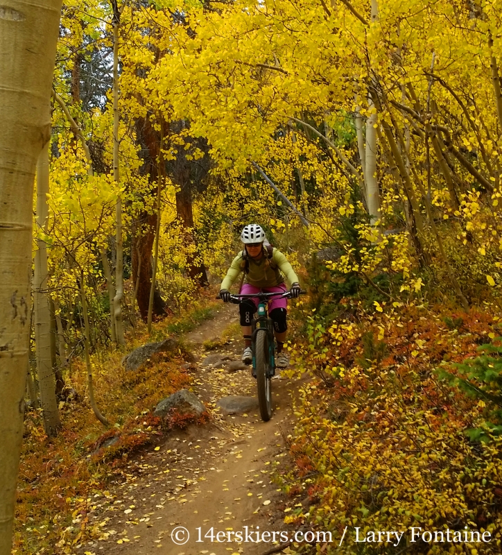 Brittany Walker Konsella mountain biking Lenawee Trail