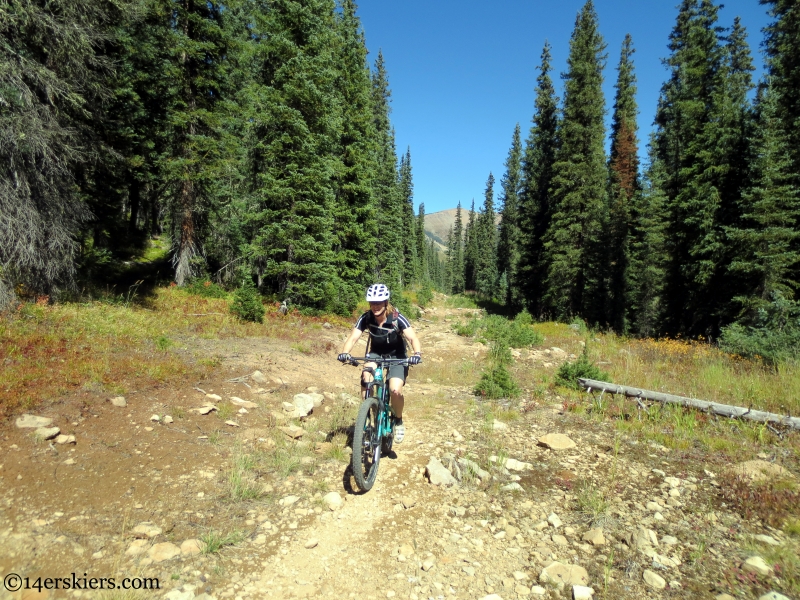 mountain biking the lily lake trail near crested butte