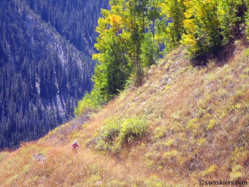 Wagon trail Crested Butte Colorado