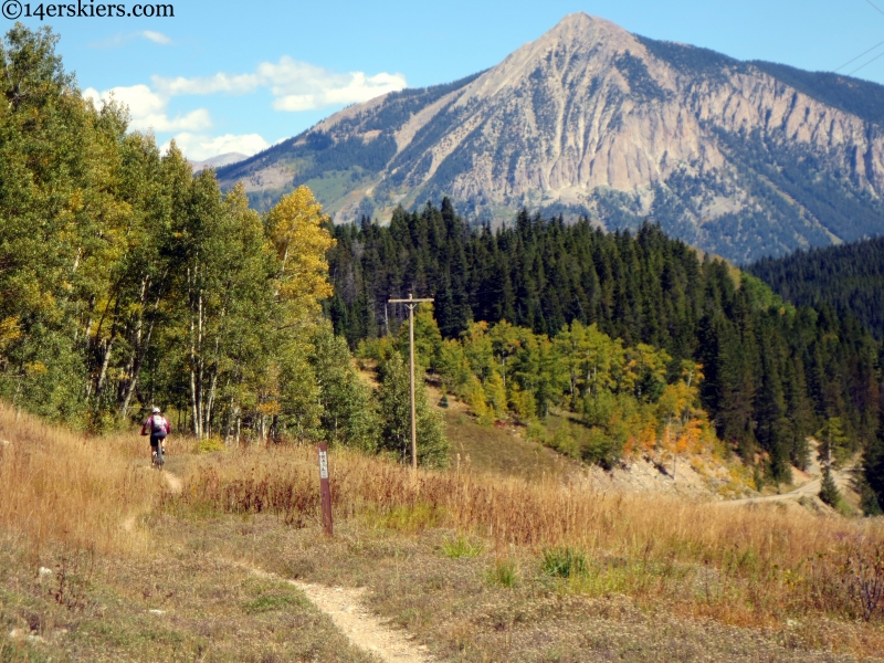 Wagon trail crested butte