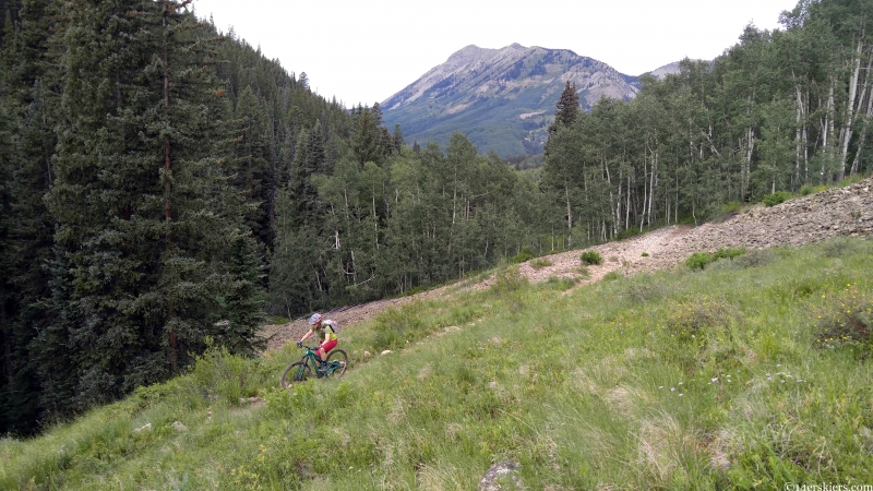 Carbon Creek Trail near Crested Butte