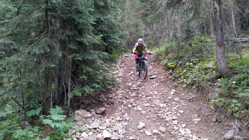 wildcat trail crested butte