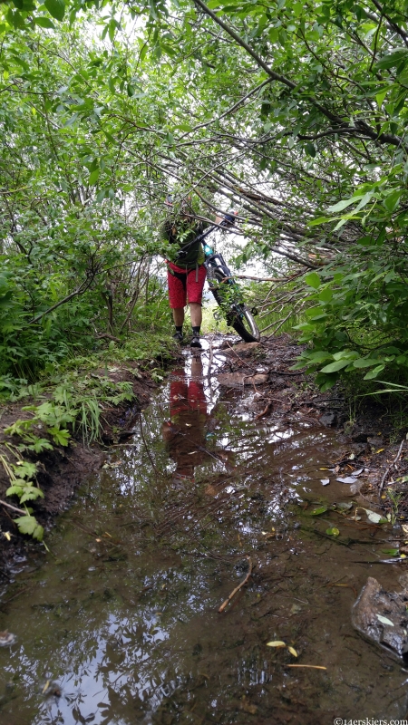 TR: Lily Lake- Carbon Creek- Wildcat Trail 7.22.17 - 14erskiers.com