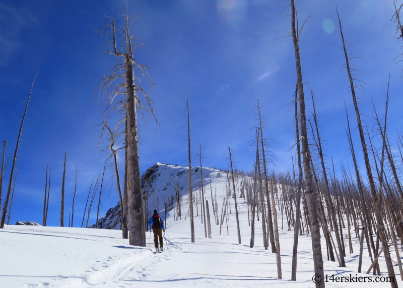 Skinning ridge to summit on Little Agnes.