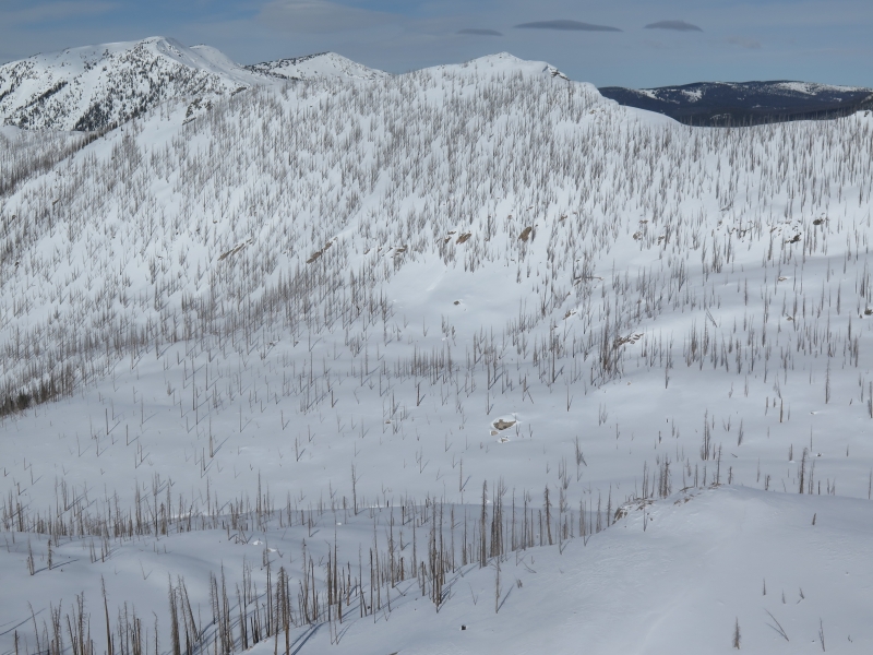 Agnes Creek drainage