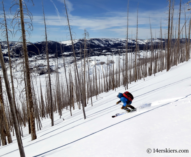 Frank Konsella backcountry skiing Little Agnes.