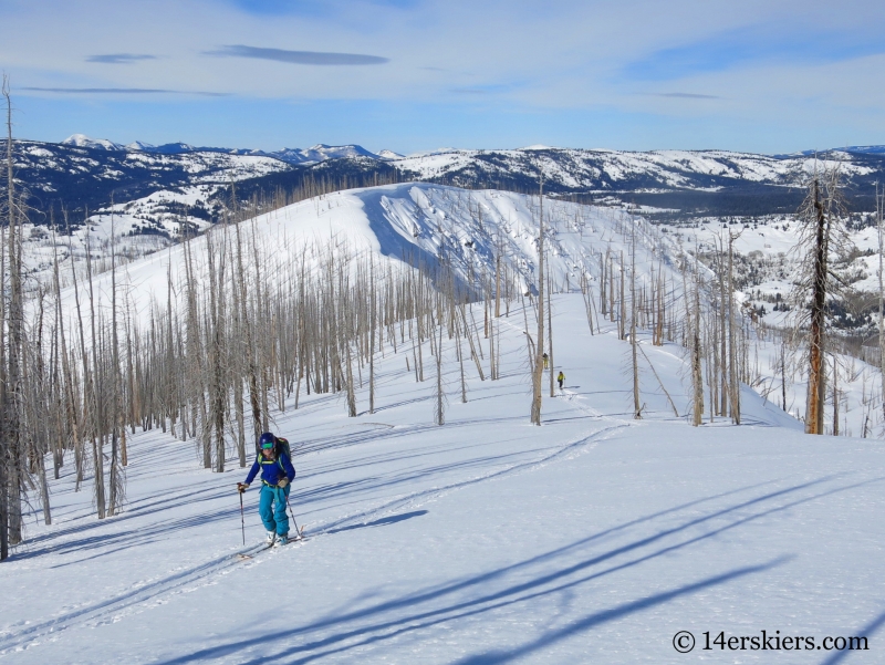 Skinning Little Agnes Mountain to go backcountry skiing.