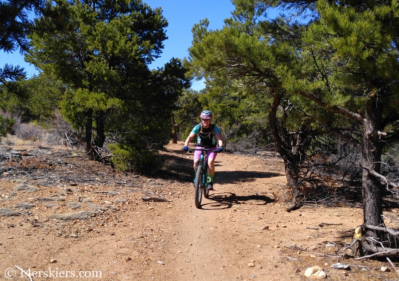 Mountain biking Little Rainbow Trail near Salida, CO.