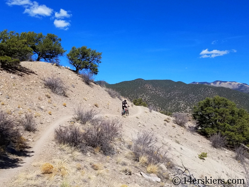 Mountain biking Little Rainbow Trail near Salida, CO.