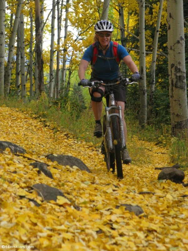 Mountain biking in the Castles  of the West Elks, Lowline Trail