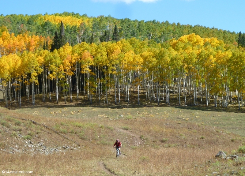 Mountain biking in the Castles  of the West Elks, Lowline Trail