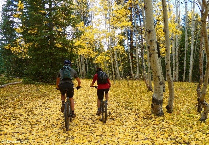 Mountain biking in the Castles  of the West Elks, Lowline Trail