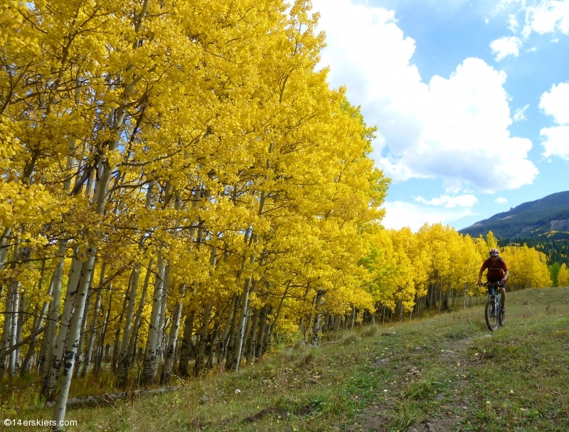 Mountain biking in the Castles  of the West Elks, Lowline Trail