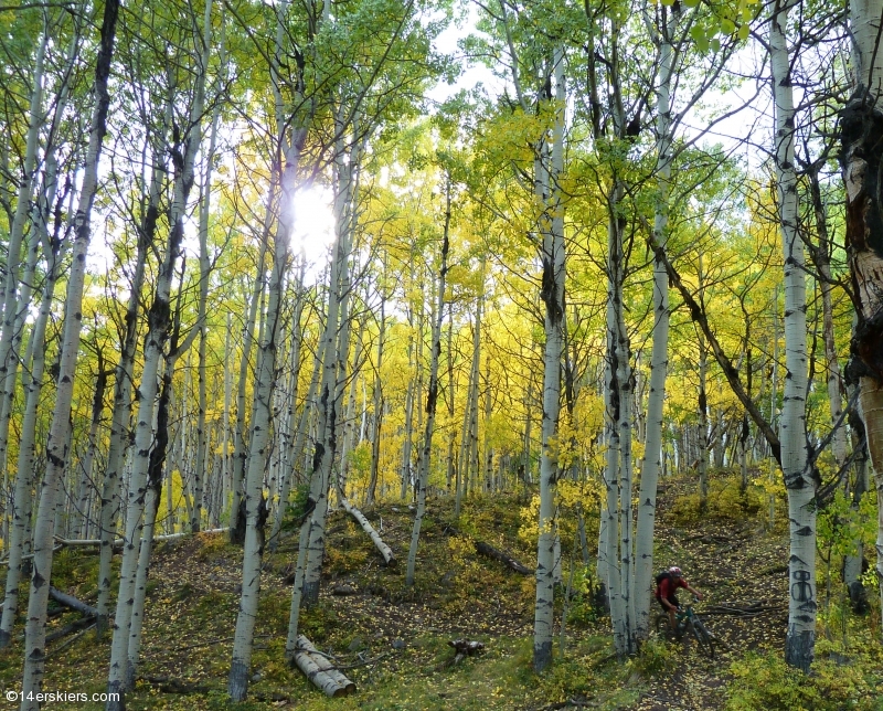 Mountain biking in the Castles  of the West Elks, Lowline Trail