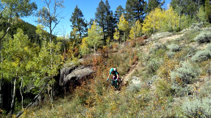 TR: Mountain Biking McIntyre to Alder to Fossil Ridge - 14erskiers.com