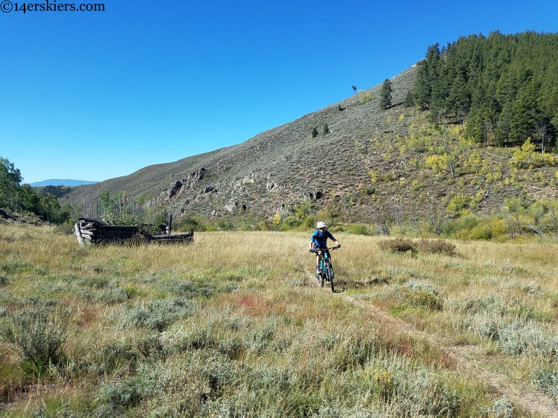 alder creek trail gunnison