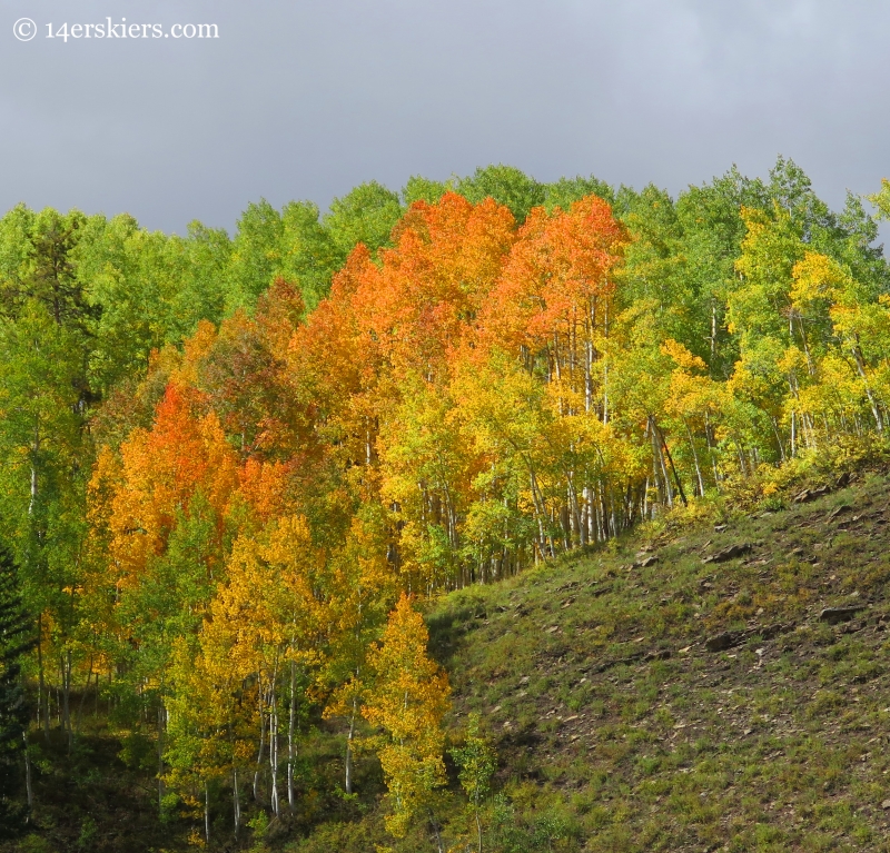 fall colors on Long Lake Hike