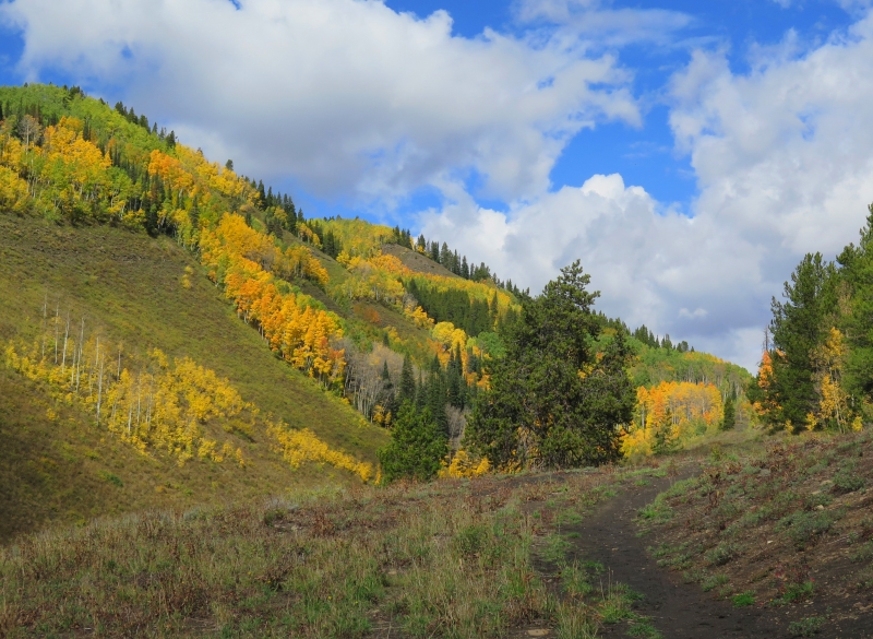 Long Lake Hike