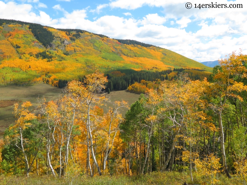 fall colors on Long Lake hike