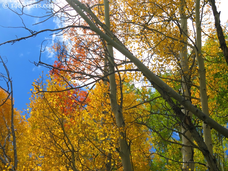 fall colors on Meridian Lake hike