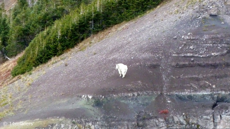 Hiking the Ruby Range traverse near Crested Butte, CO.