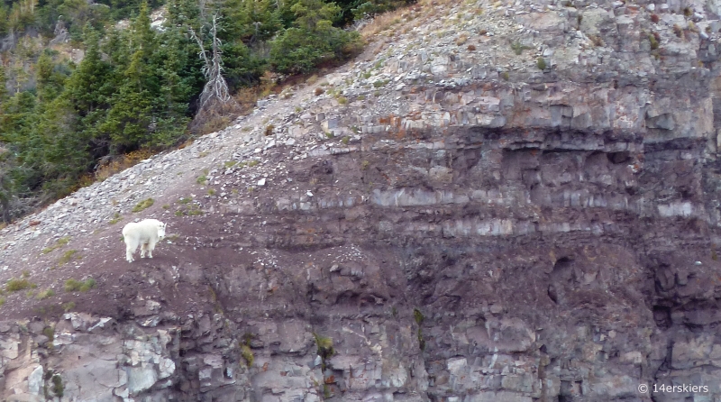 Hiking the Ruby Range traverse near Crested Butte, CO.