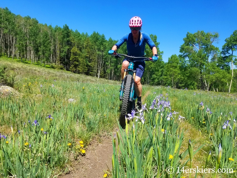 Mountain biking Milk Creek near Sargents, CO