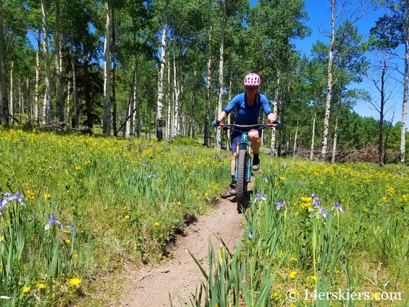 Mountain biking Milk Creek near Sargents, CO