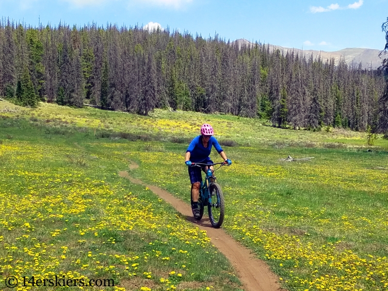 Mountain biking on Sargents Mesa, CO.