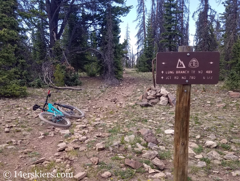 Mountain biking Longbranch near Sargents, CO.