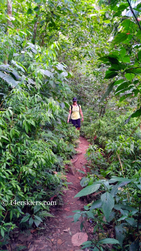 Hike to Pozo Azul, Minca, Colombia.