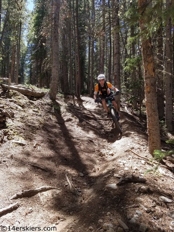 timberline from cottonwood to texas creek mtb