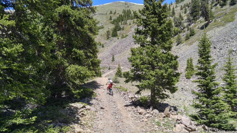 Timberline trail taylor park