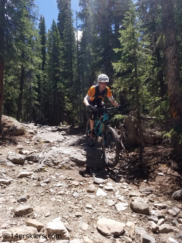 mountain biking timberline