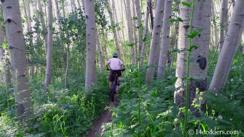 Frank Konsella mountain biking the West Side Trail in Crested Butte, CO.